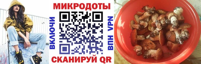 Галлюциногенные грибы мухоморы  Волжский 